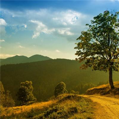 BET9官方APP下载正版app下载